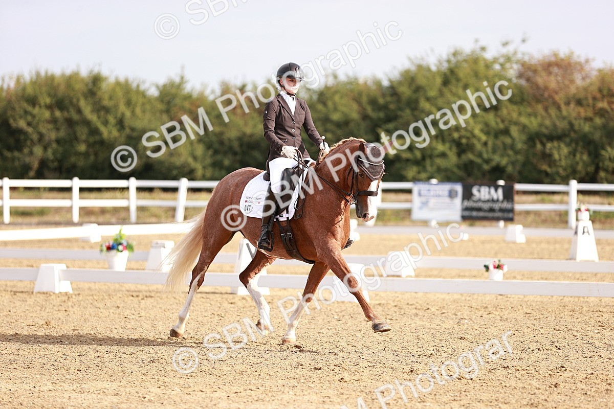 SBM_016864 - Class 10 - Medium 6