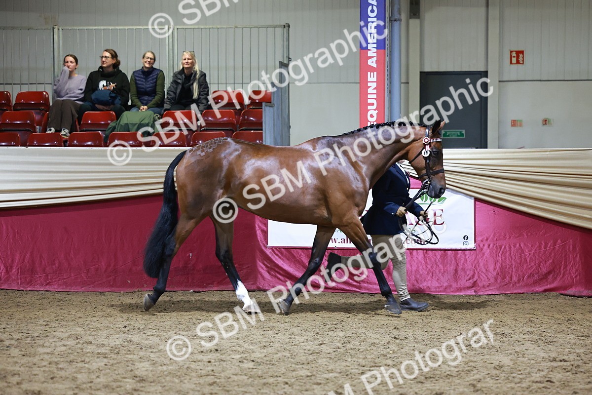 SBM_21523 - Class V - Champion of Champions