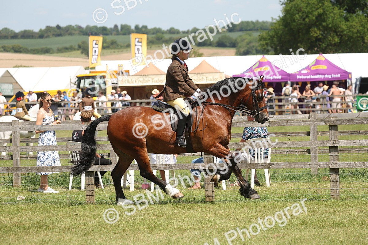 SBM_06907 - Class 26-30 - Mountain and Moorland Ridden