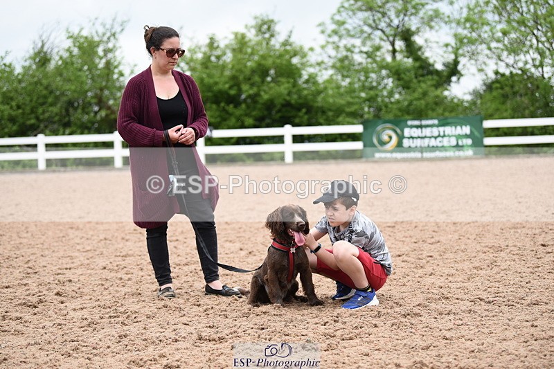 240518A-122540-01161 - Cls 4 Best Crossbred