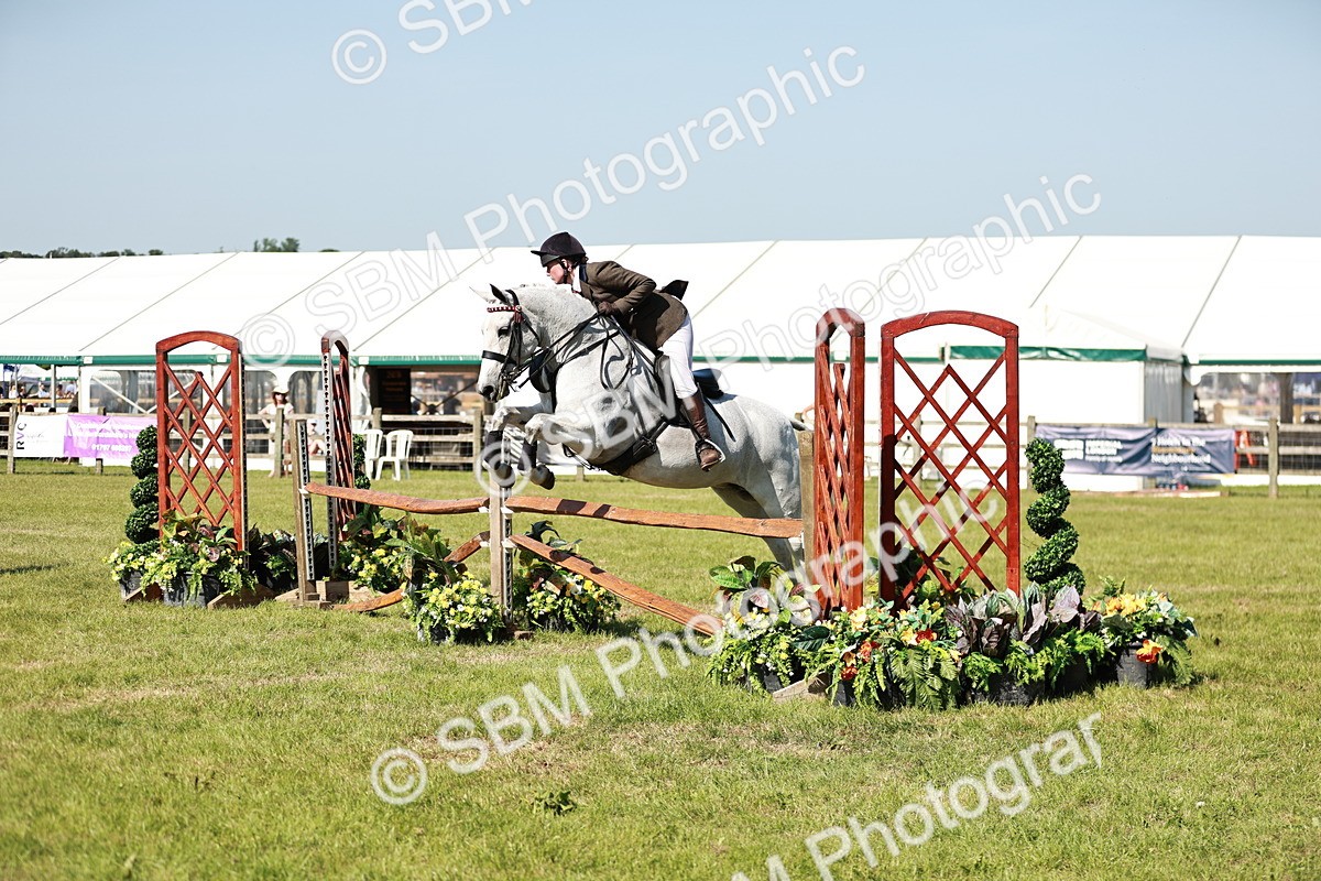 SBM_18857 - Class 114 - RIHS & SEIB Open Working Show Horse