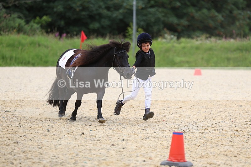 3E7A9531 - Walk trot run