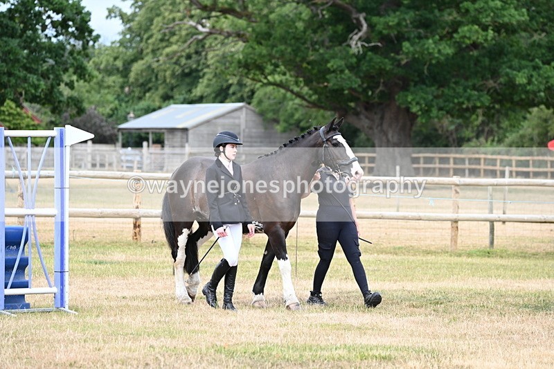 WJ6_4189 - Class 10 Coloured In-hand