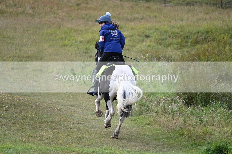 WJ7_5972 - Time 11:50 to 12:09