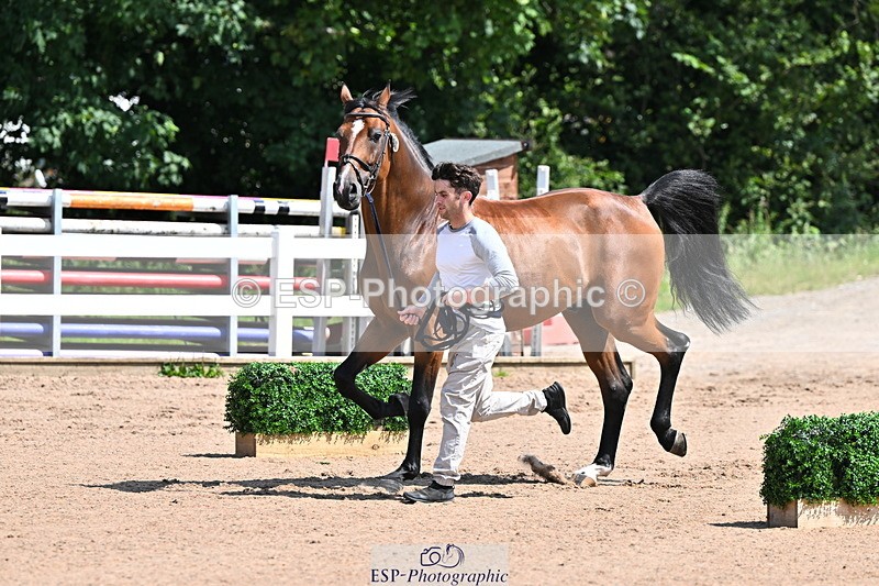 240718A-105239-00975 - Trot Up 11am to 12pm