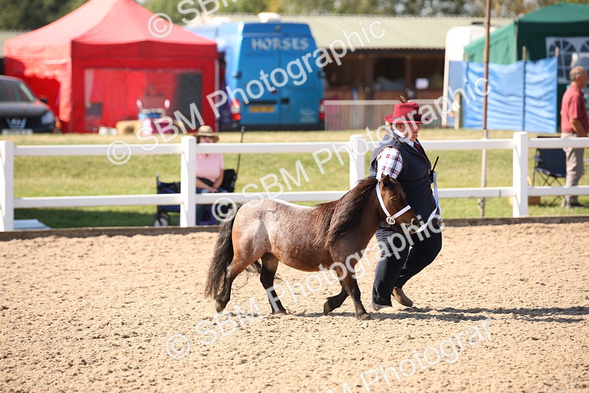 SBM_02697 - Class 16 IH M&M Wildcard