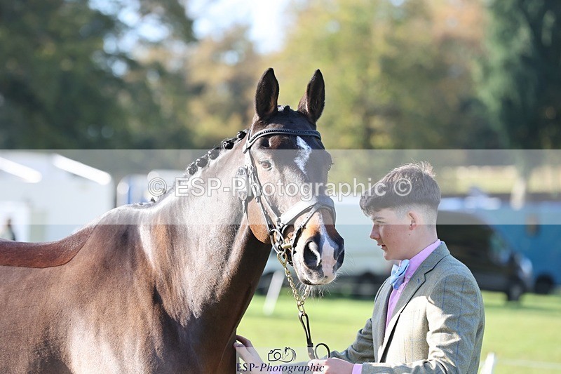 241027-100739-15707 - 406-Harvey.Crocker-THE.NIGHT.TRAVELLER