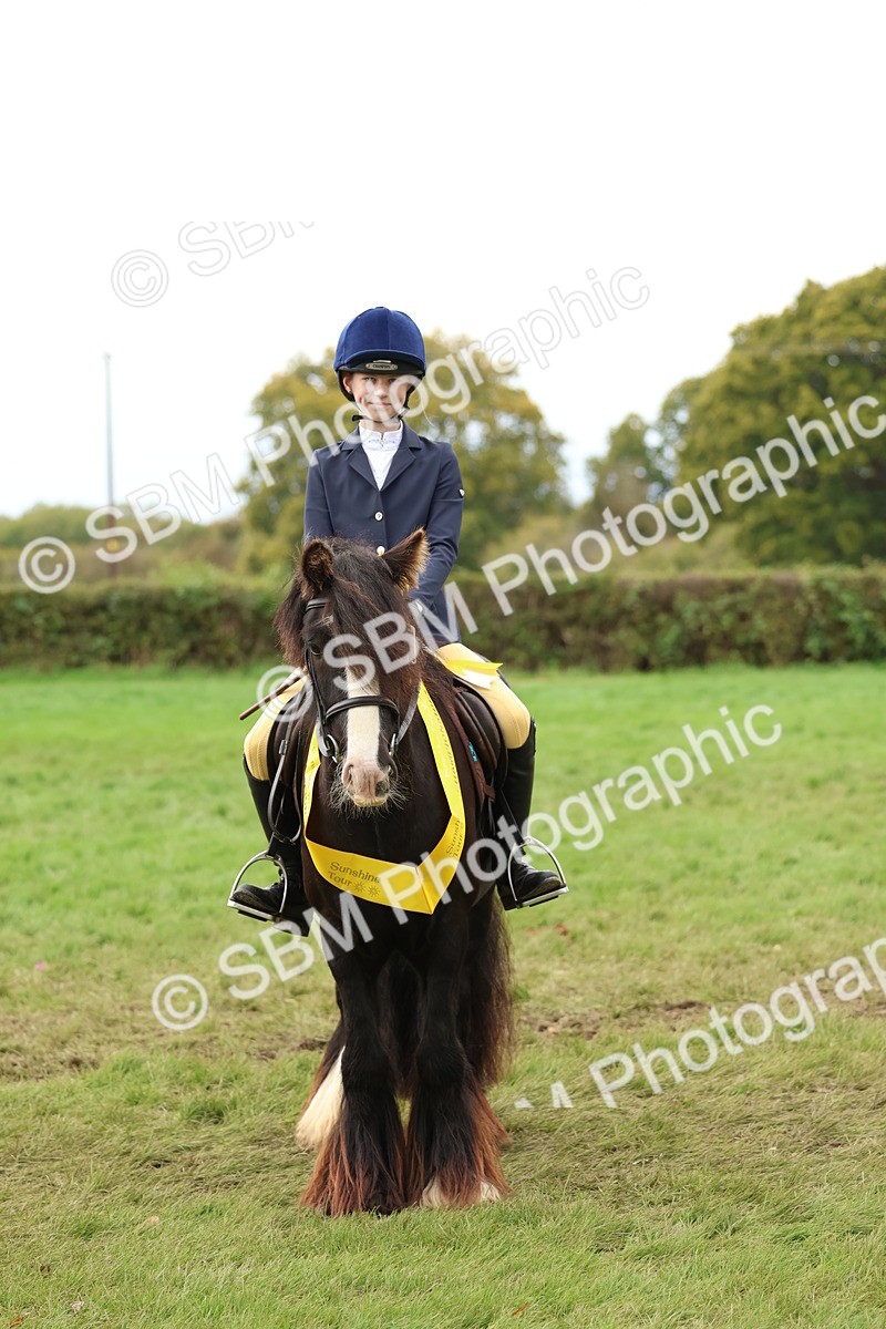 SBM_67564 - S60 - Mini Show Cob Ridden