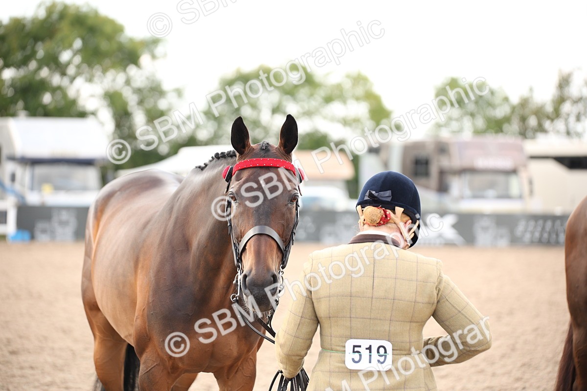 SBM_08263 - Class 27 - IH Competition Horse-Pony