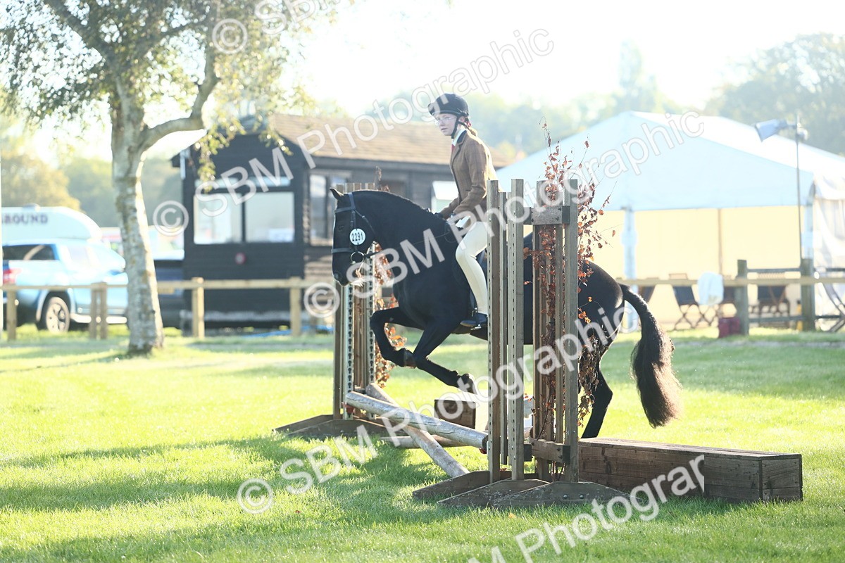 SBM_37331 - S29 - Novice & Newcomers Working Hunter Pony
