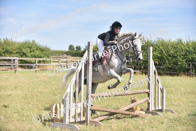 20260906-2684 - Class 13 - Working Hunter Horse or Pony