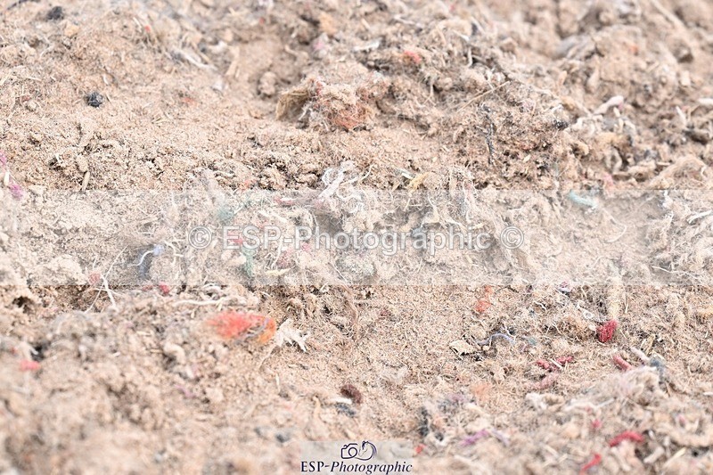 250621-111732-06398 - Cls 34 - Freestyle Medium