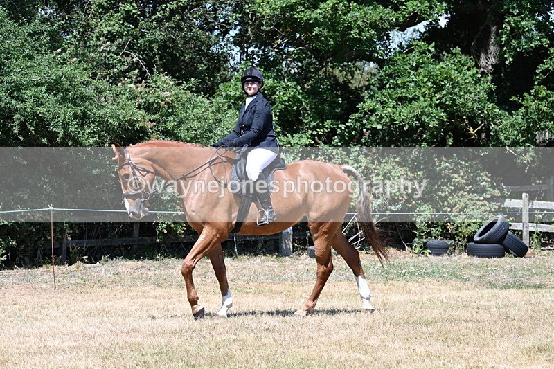 WJ7_2736 - Class 7 Riding Club Show Horse