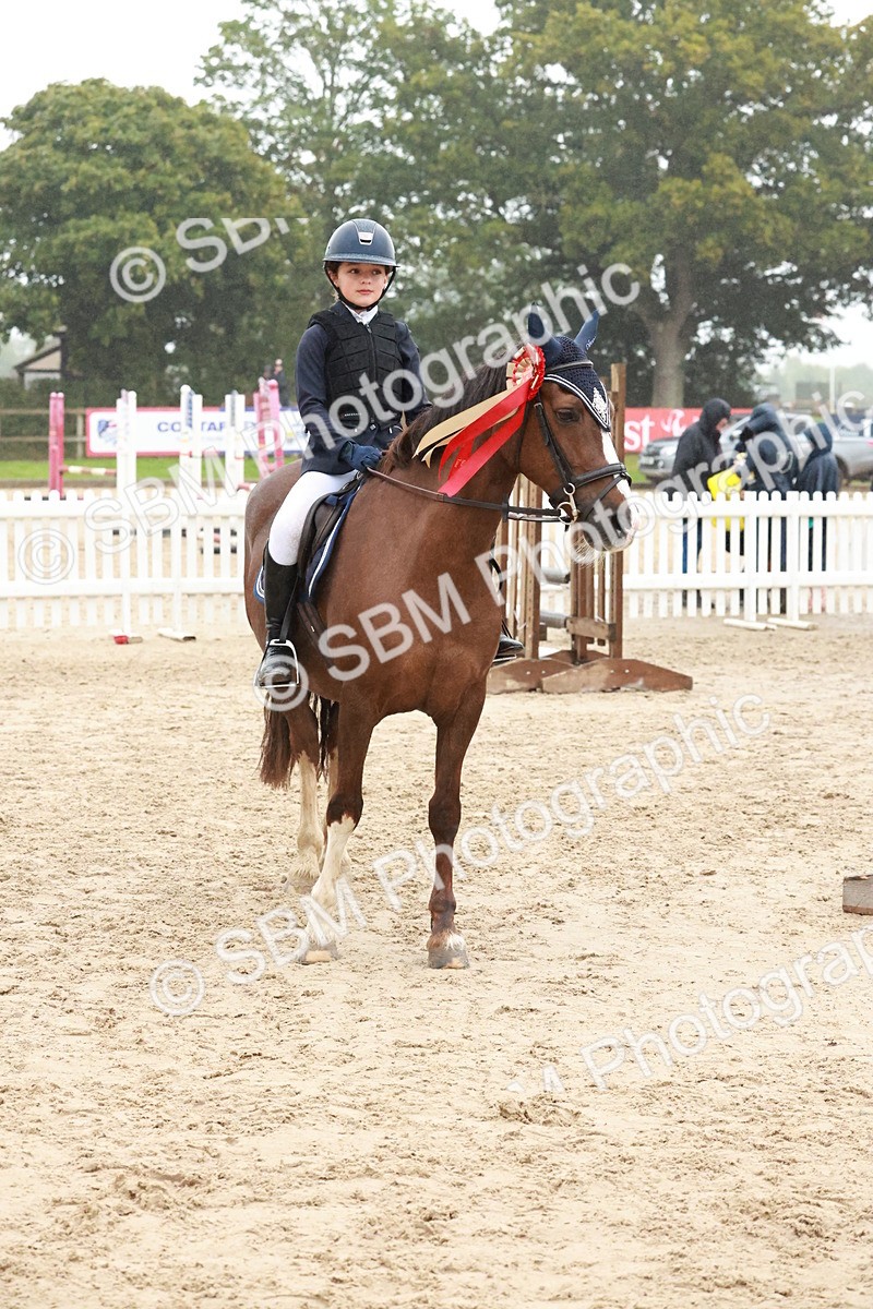 SBM_73569 - Supreme Championship Junior Pony 60cm & 65cm