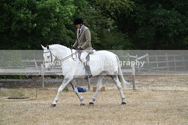 WJ7_0902 - Class 7 Riding Club Show Horse