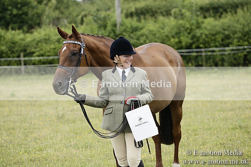 BVR160717-245 - Ring 2 BVRC Show 16/07/17