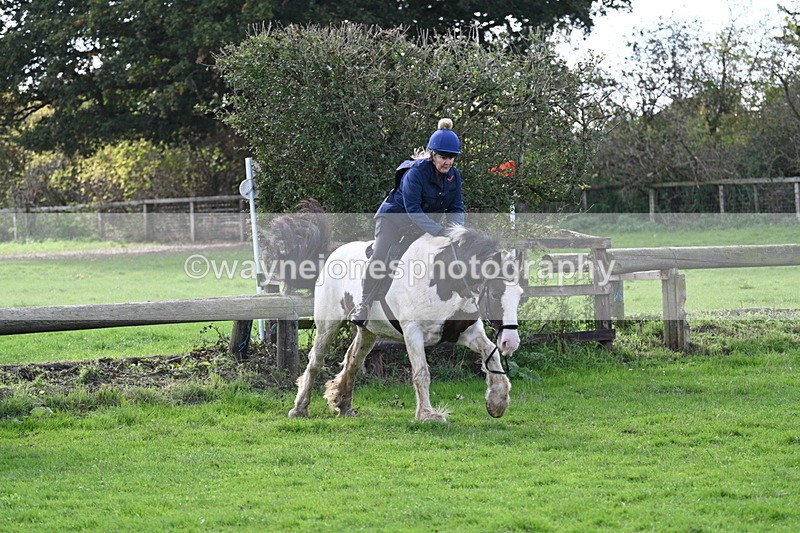 WJ7_8233 - Time 12:12 to 12:37