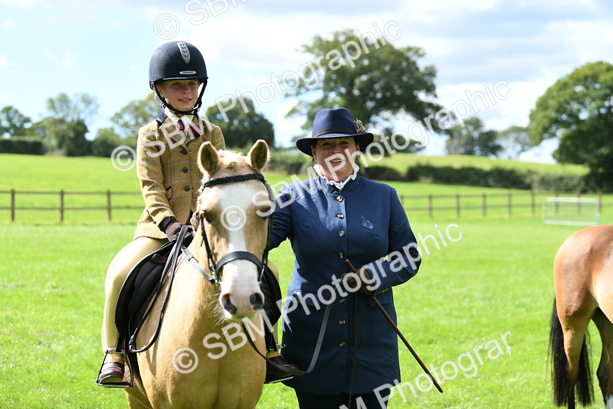 SBM_41211 - S19 - Lead Rein Show & Show Hunter Pony