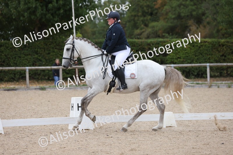 20250820-1055 - Class 17 - Elementary 4