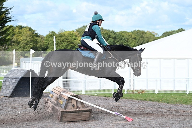 WJ7_0082 - Time 11:02 to 11:34