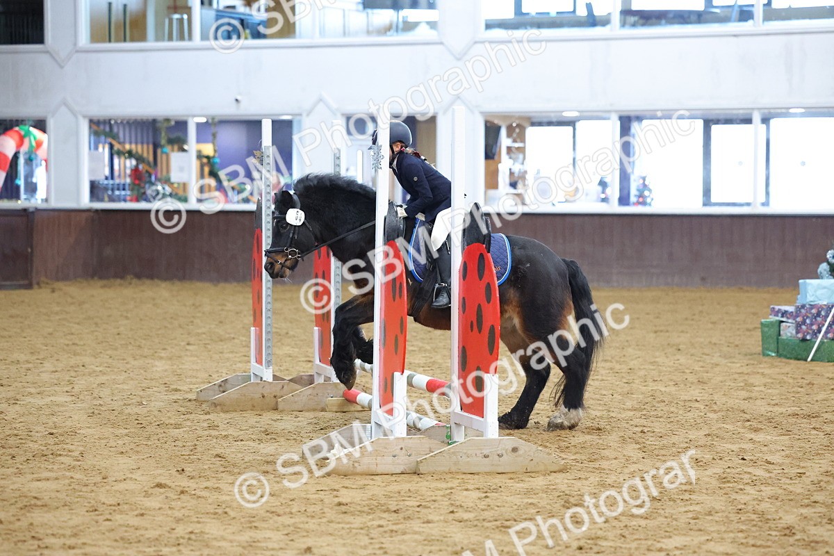 SBM_000089 - Class 1 - Show Jumping 50cm