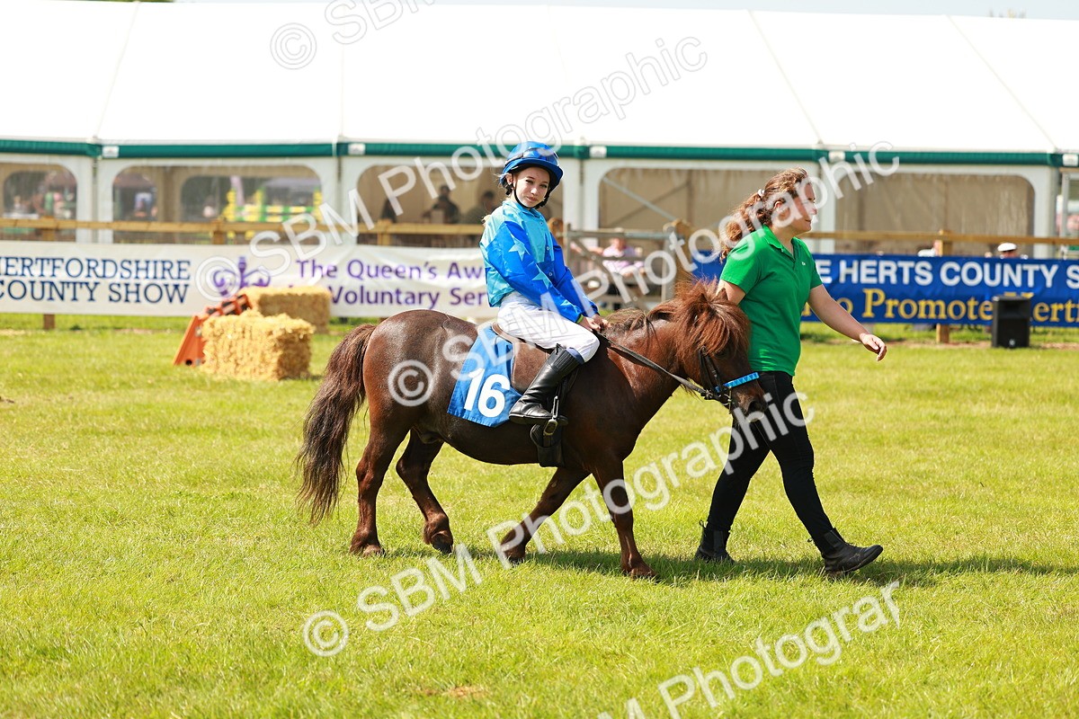 SBM_04763 - Shetland Grand National