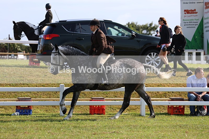 3E7A8654 - Class 3: Rising Star S/L Hunter