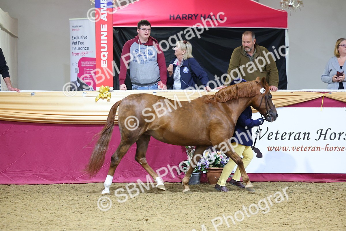 SBM_19629 - Class 901 - Supreme Final - IH Diamond