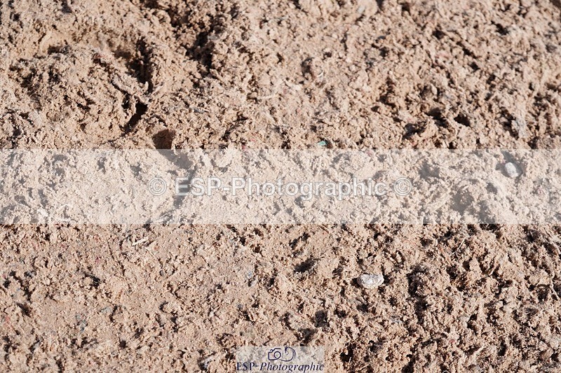 250427-101926-15515 - Cls 16 - 1 Star Bronze Tour