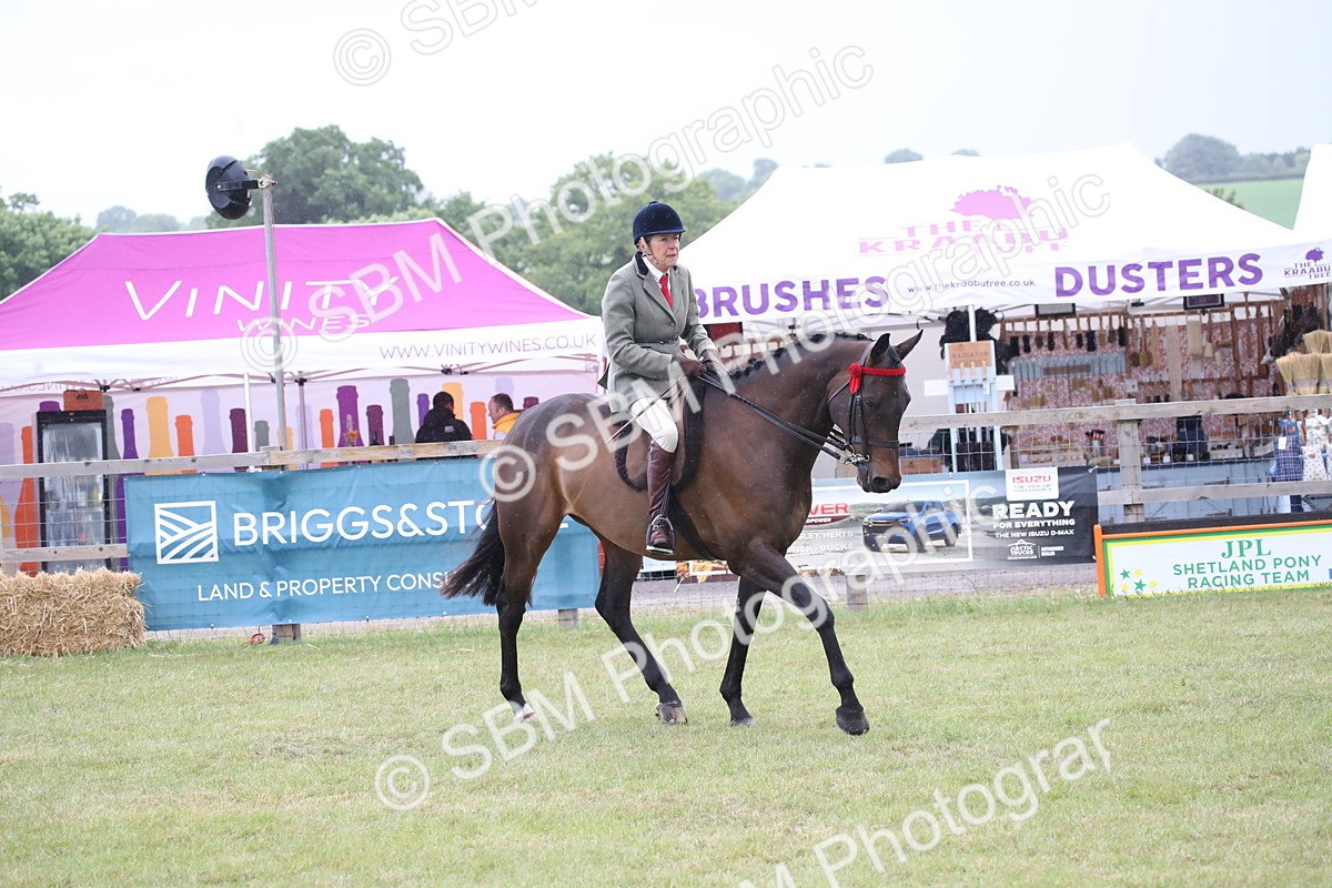 SBM_11442 - Class 94 - LIHS BSHA Racehorse to Showhorse