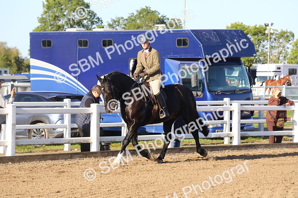 SBM_07878 - Class 501 - Riding Club Pony
