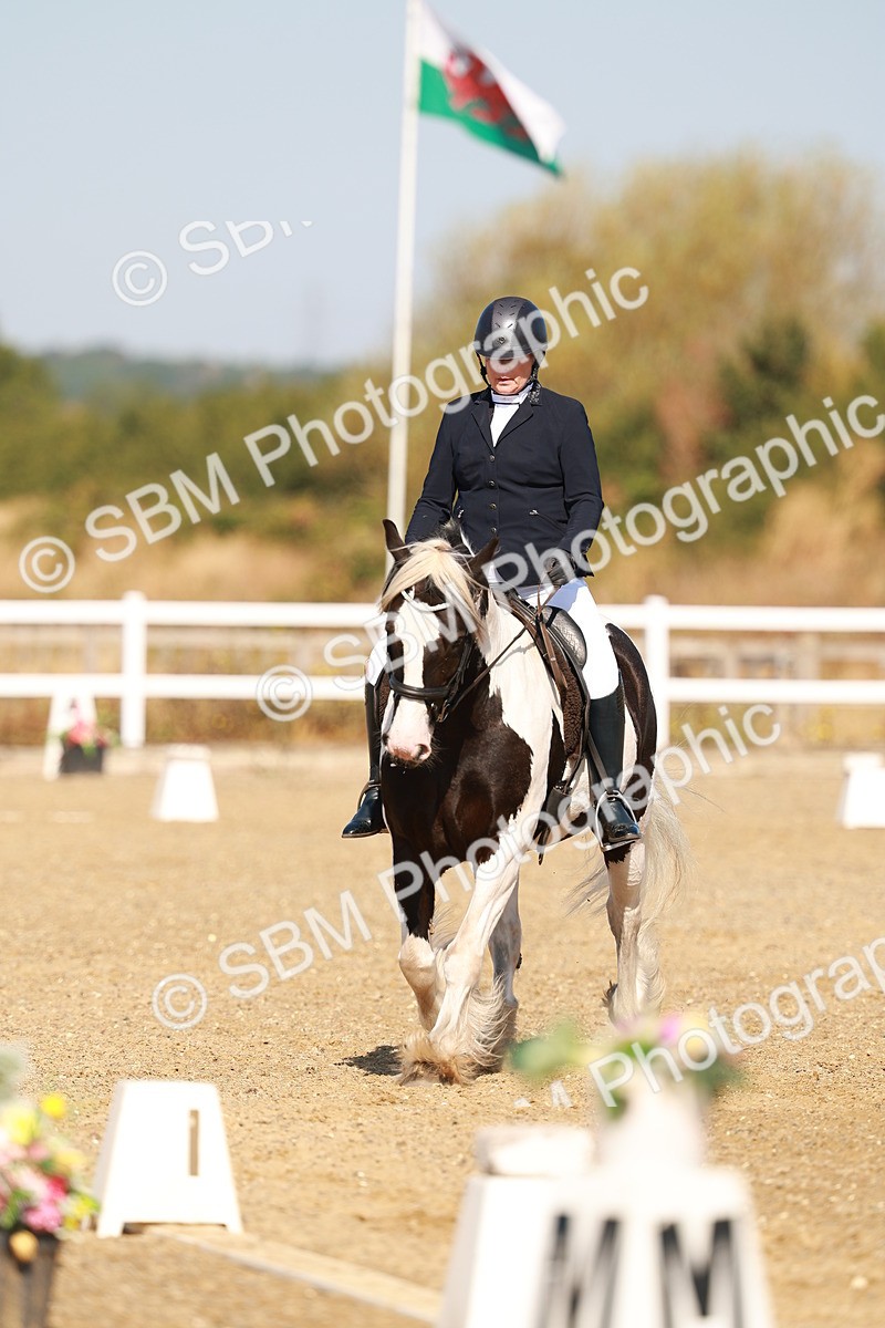 SBM_016775 - Class 9 - N5 Bronze 9.30.10.19