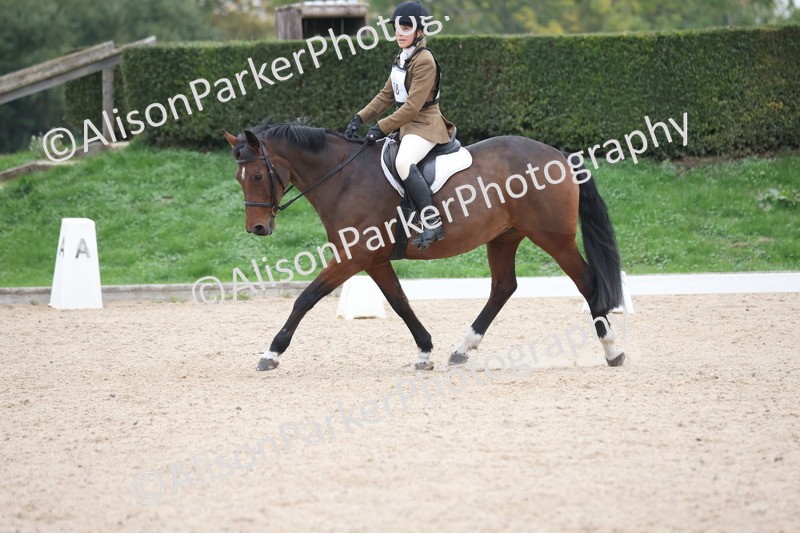 20251011-0477 - Class 4 - Novice 2