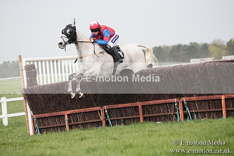 PtP 210418 278 - South & West Wilts Point-to-Point Larkhill 21/04/18