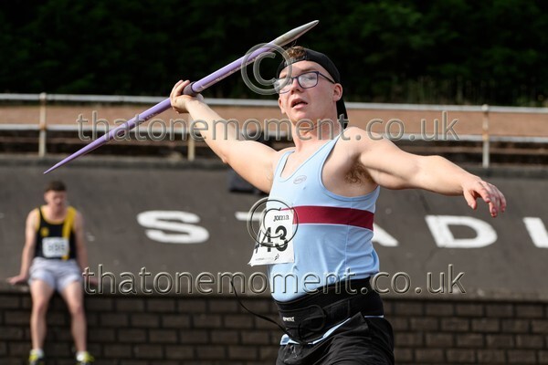 Sen25SUN-929790 - Field Male