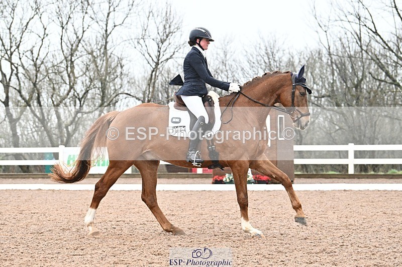 250215-113303-03211 - 257-Beth.Bainbridge-NEWTON.GLOVETROTTER