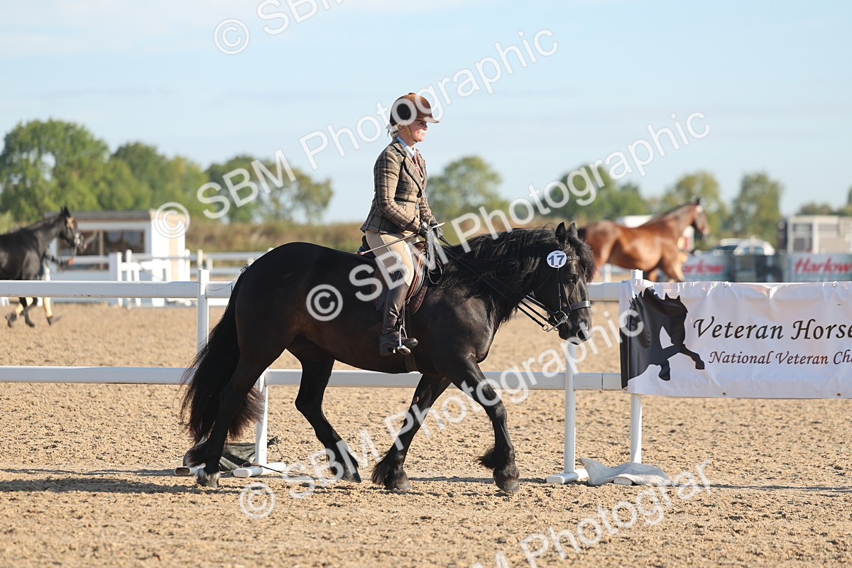 SBM_10949 - Class 302 - Ridden M&M Large Breeds