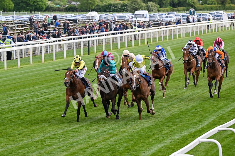 140526-Race 6-Dickensian-0328 - Race 6 4.40pm British Stallion Studs EBF Westow Stakes