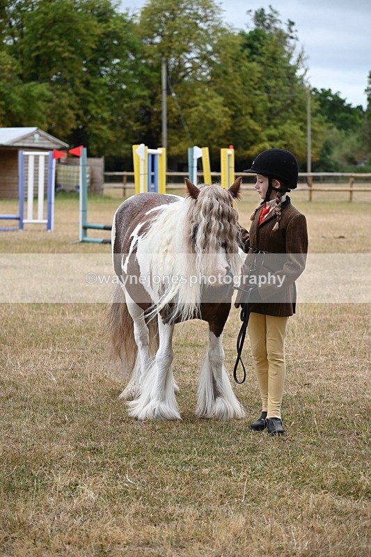 WJ6_8417 - Class 10 Coloured in Hand