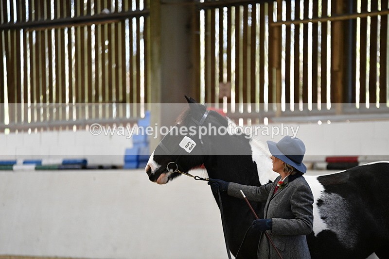 WJ5_4970 - Class 7 In hand coloured / odd coloured