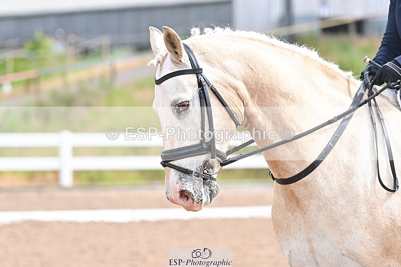 240623A-102048-16486 - Cls 45 BD Prelim 19