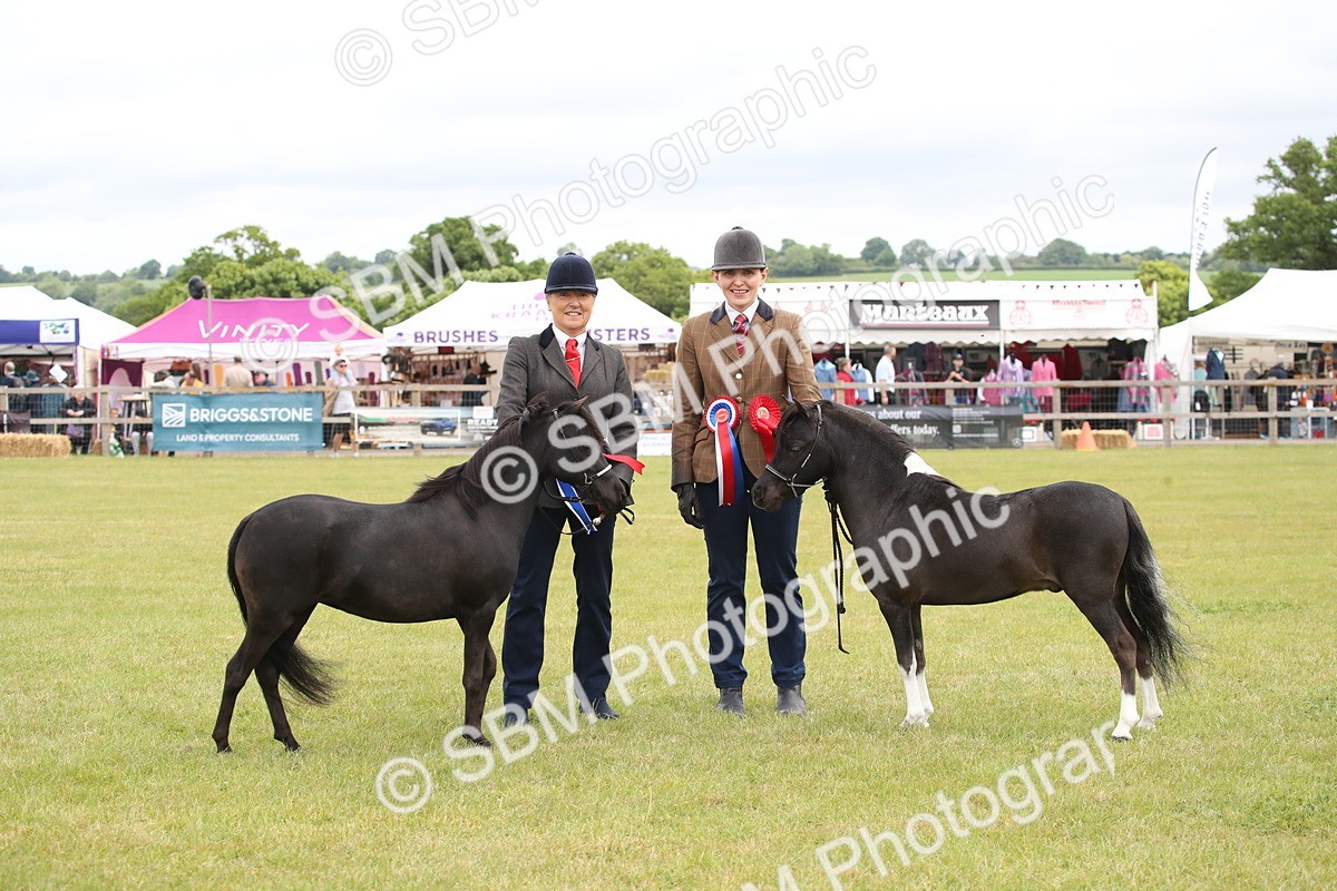 SBM_03583 - Class 23-25 - British Miniature Horse of the Year