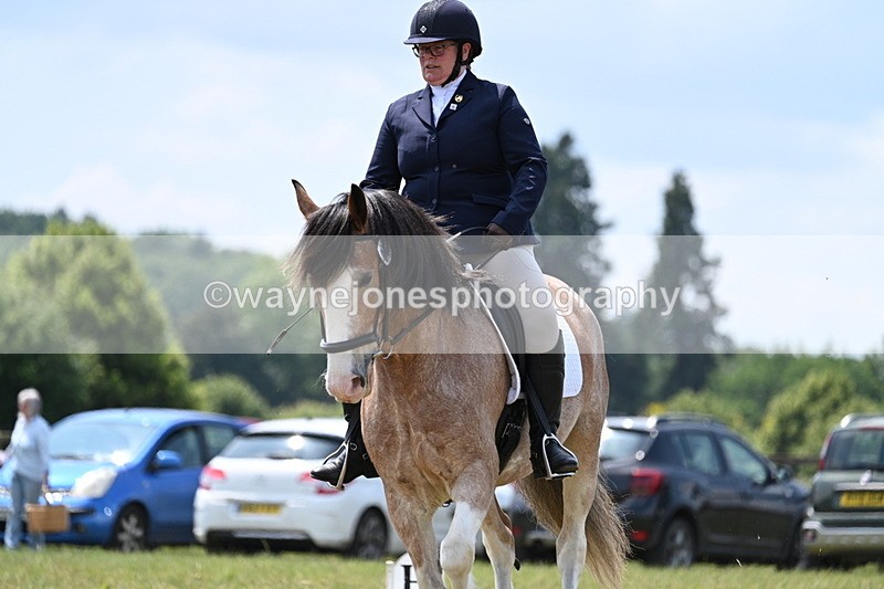 WJ7_8208 - Time 13:35 to 13:40