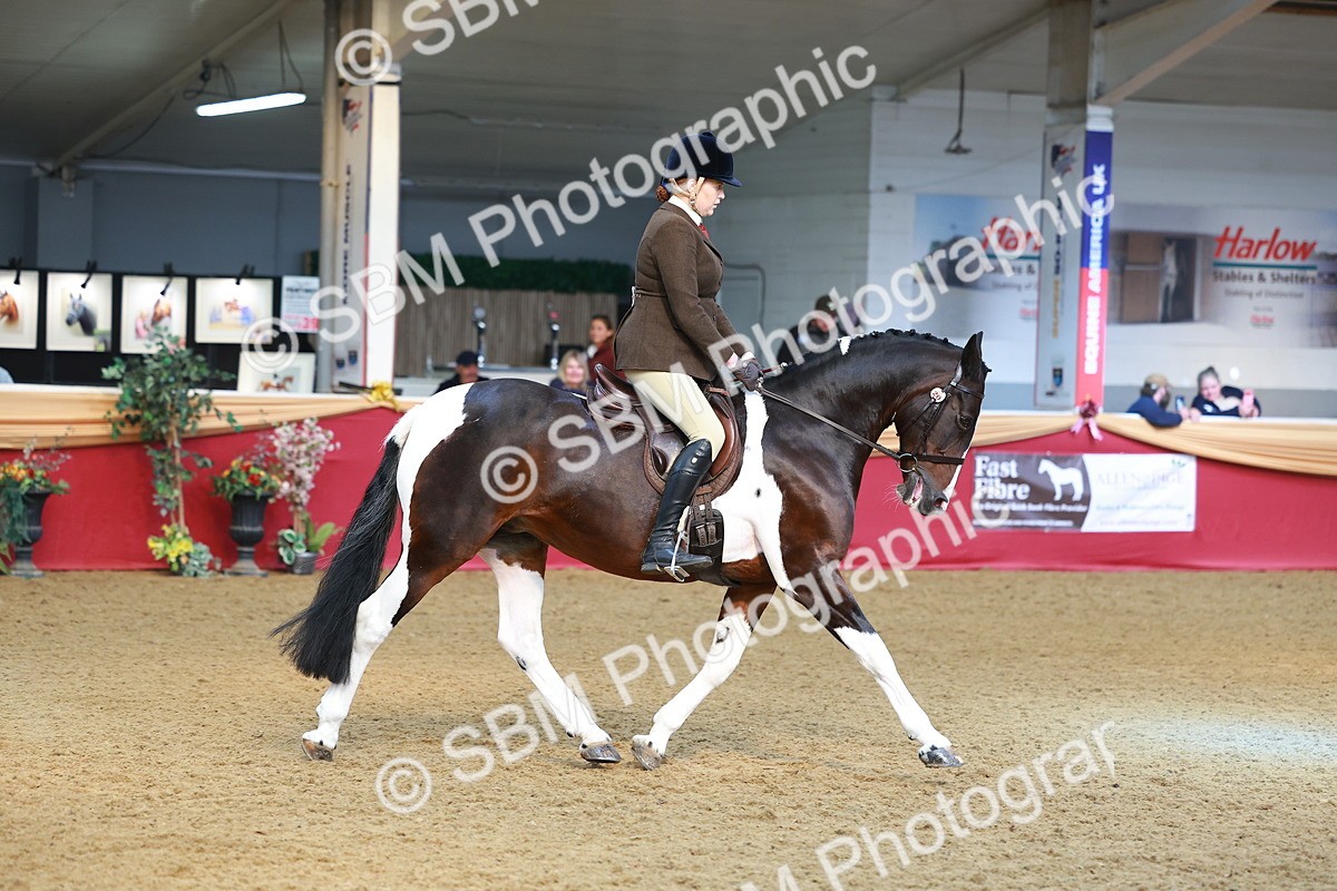 SBM_09763 - Class 102 - HOYS Veteran Qualifier - Ridden Veteran