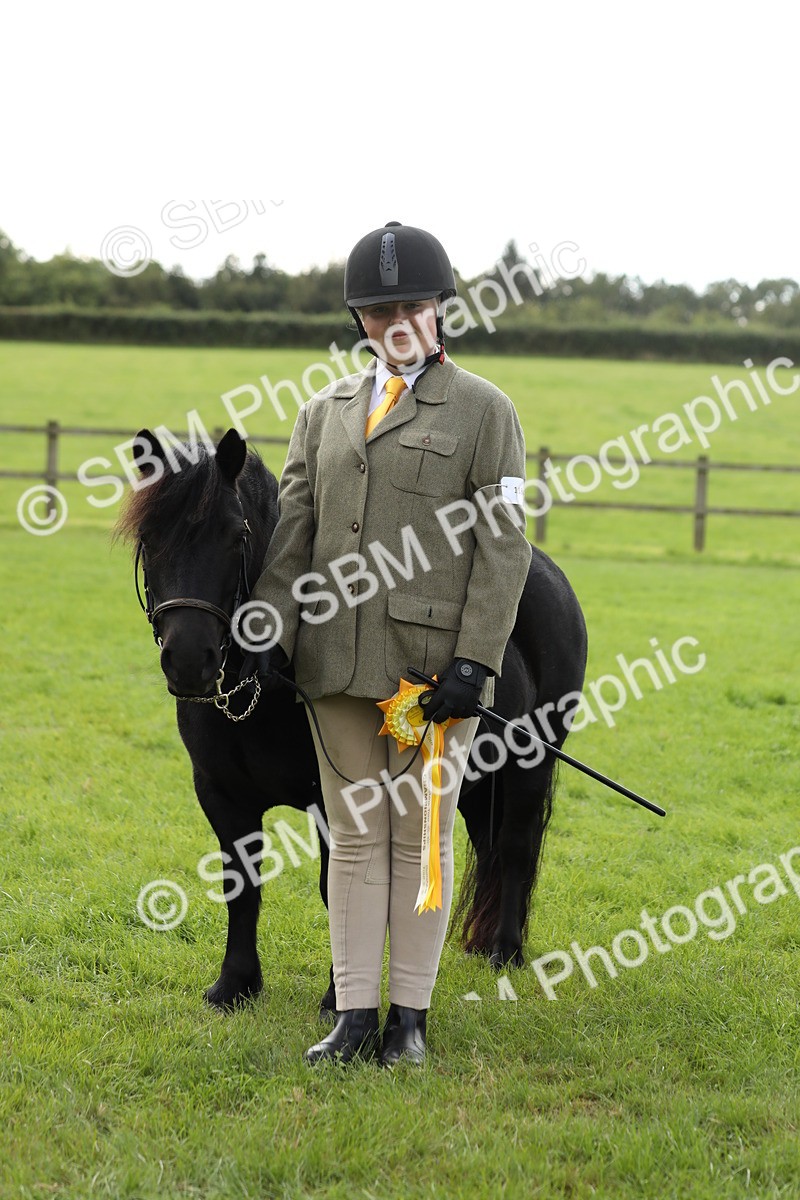 SBM_62867 - S46 - Mountain & Moorland In Hand Small Breeds