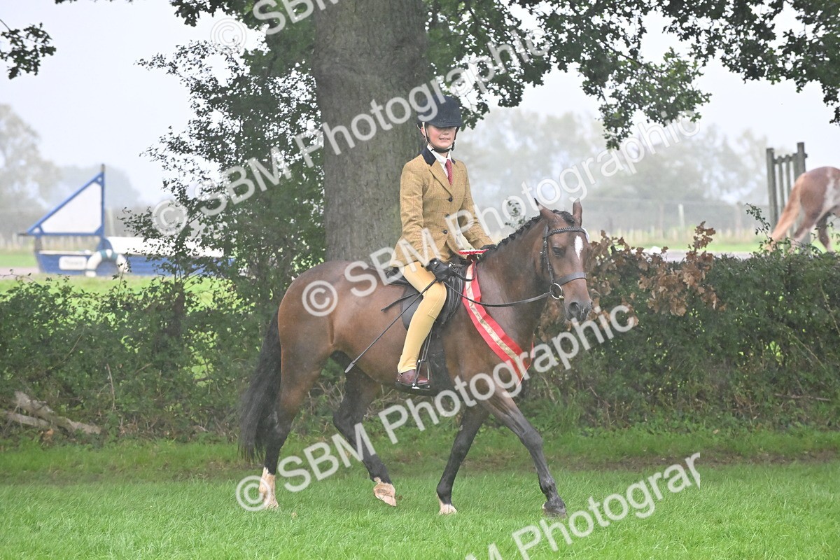 SBM_72197 - Equitation Supreme Championship