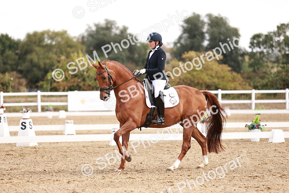 SBM_017685 - Class 11 - Advanced Medium 6