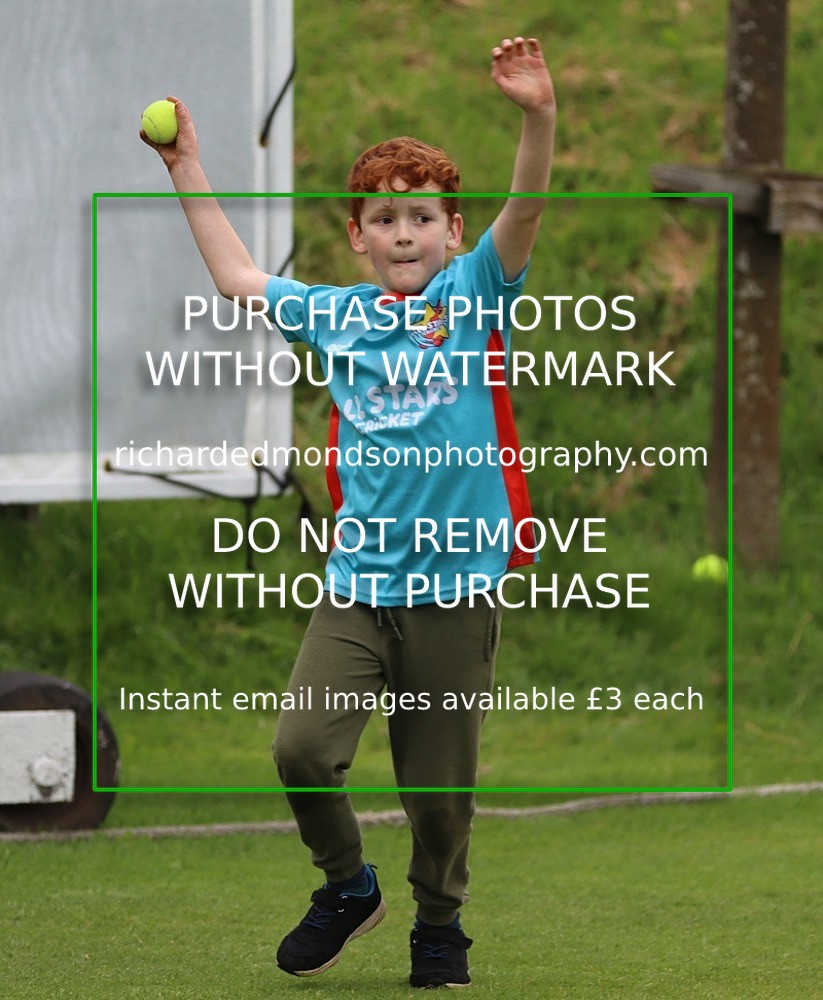 IMG_1245 - All Stars Cricket-Netherfield