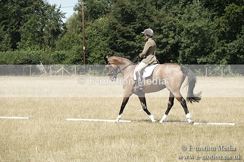 _PJP5883 - Dressage Classes BVRC Show 2018