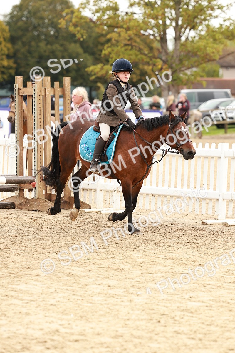 SBM_57734 - J11 - Junior Pony 50cm Championship